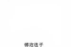 镜面公寓专题配图，公寓外墙的镜面倒影